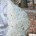 Buddha_thumb